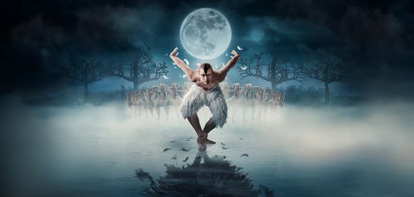 'The Swan' is bending forward with his knees bent and his arms behind him, he has black makeup on his face to resemble the features of a swan, and is wearing white feathered knee-length trousers. He is pictured standing in water and in a mist, his reflection is visible in the water. Feathers are falling from his arms, and behind him is a group of swans are posed with one arm curved over their head and the other stretched out to the side. There is a full moon above 'The Swan' and silhouettes of trees at the sides of the frame.