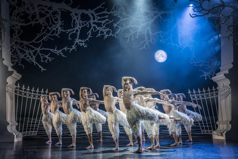 The Swans
