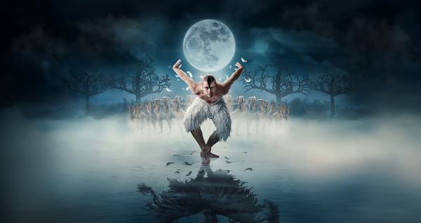 'The Swan' is bending forward with his knees bent and his arms behind him, he has black makeup on his face to resemble the features of a swan, and is wearing white feathered knee-length trousers. He is pictured standing in water and in a mist, his reflection is visible in the water. Feathers are falling from his arms, and behind him is a group of swans are posed with one arm curved over their head and the other stretched out to the side. There is a full moon above 'The Swan' and silhouettes of trees at the sides of the frame.