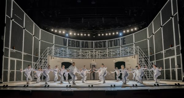 The Montague Company